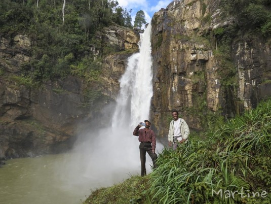 n453/corridor.forestier.trek.madagasar.19.jpg