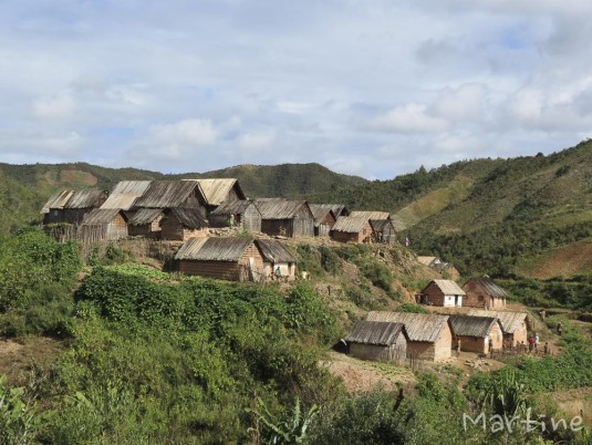 n453/corridor.forestier.trek.madagasar.20.jpg