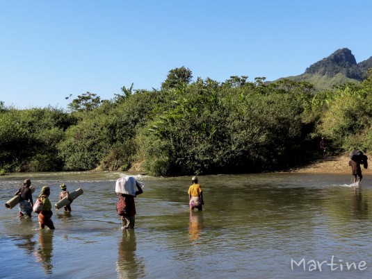 n455/corridor.forestier.trek.madagasar.28.jpg