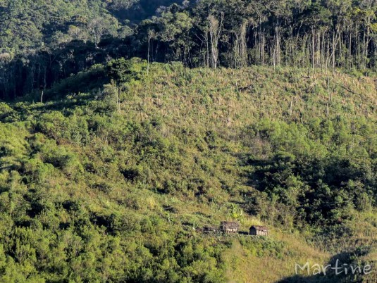 n456/corridor.forestier.trek.madagasar.35.jpg