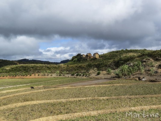 n459/corridor.forestier.trek.madagasar.57.jpg