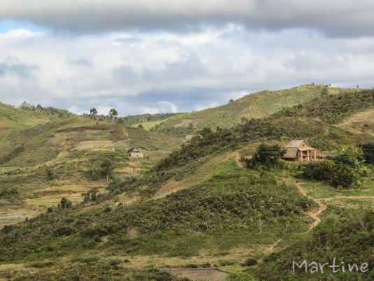 n459/corridor.forestier.trek.madagasar.59.jpg