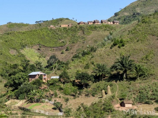 n463/corridor.forestier.trek.madagasar.86.jpg