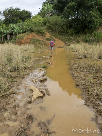 n466/corridor.forestier.trek.madagasar.105.jpg