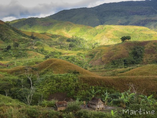 n468/corridor.forestier.trek.madagasar.151.jpg