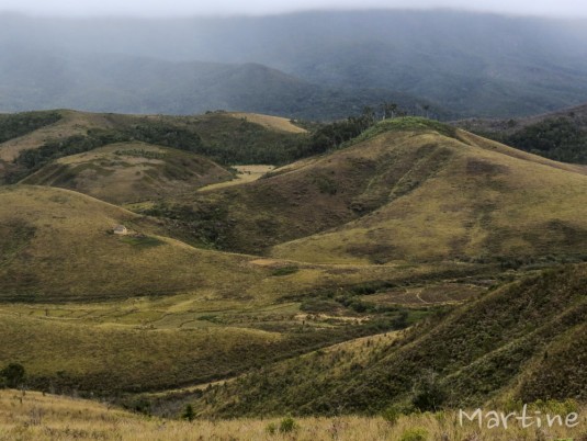 n470/corridor.forestier.trek.madagasar.127.jpg