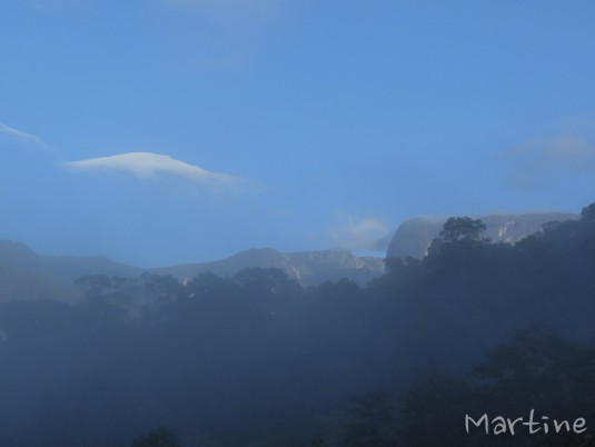 n470/corridor.forestier.trek.madagasar.131.jpg