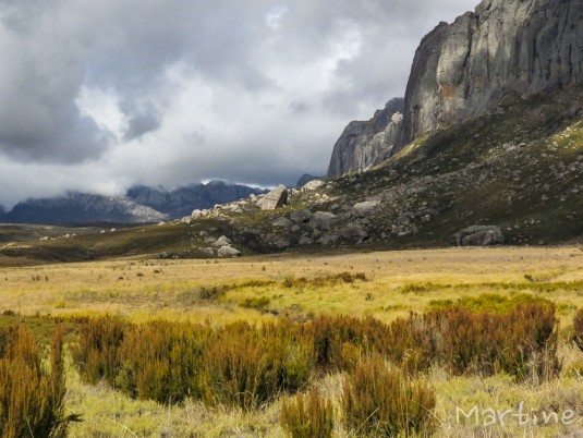 n472/corridor.forestier.trek.madagasar.149.jpg