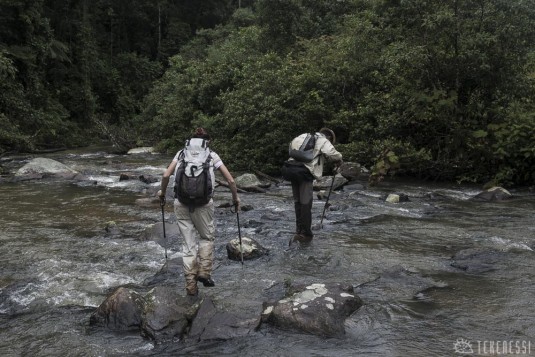 n474/corridor.forestier.trek.madagasar.25.jpg