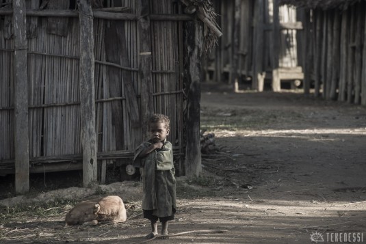 n477/corridor.forestier.trek.madagasar.86.jpg