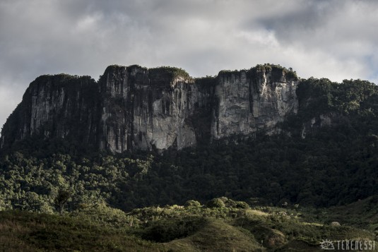 n478/corridor.forestier.trek.madagasar.100.jpg