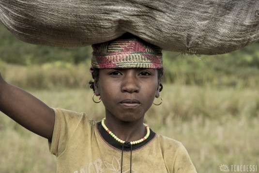 n478/corridor.forestier.trek.madagasar.286.jpg