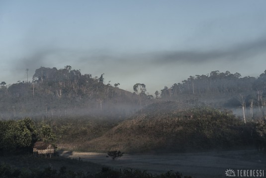 n478/corridor.forestier.trek.madagasar.88.jpg