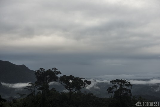 n479/corridor.forestier.trek.madagasar.105.jpg