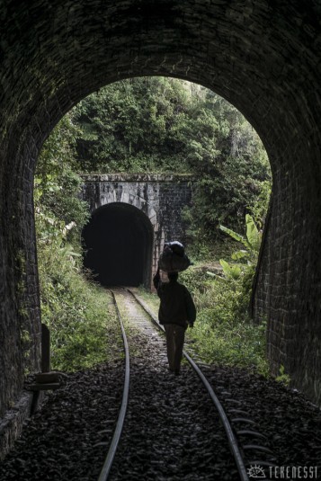 n479/corridor.forestier.trek.madagasar.106.jpg