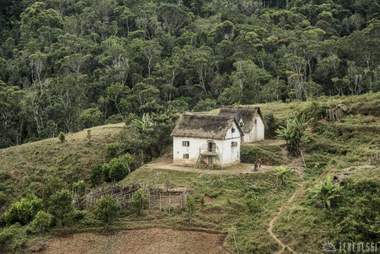 n479/corridor.forestier.trek.madagasar.110.jpg