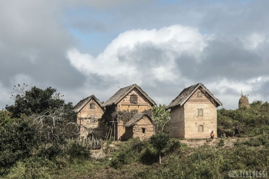 n479/corridor.forestier.trek.madagasar.111.jpg