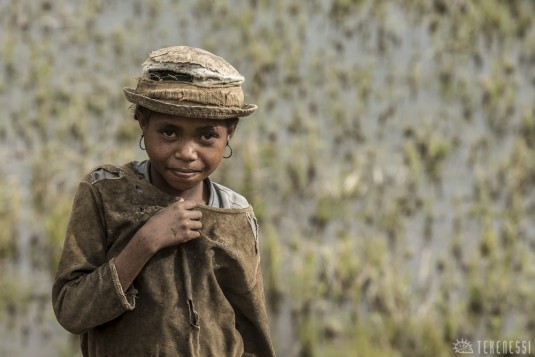 n479/corridor.forestier.trek.madagasar.112.jpg