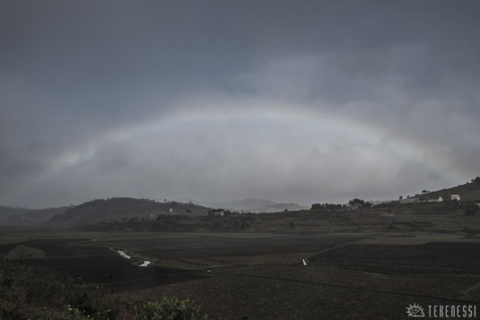 n480/corridor.forestier.trek.madagasar.122a.jpg