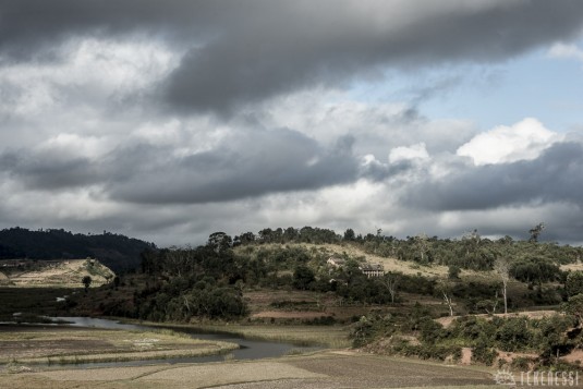 n480/corridor.forestier.trek.madagasar.138.jpg