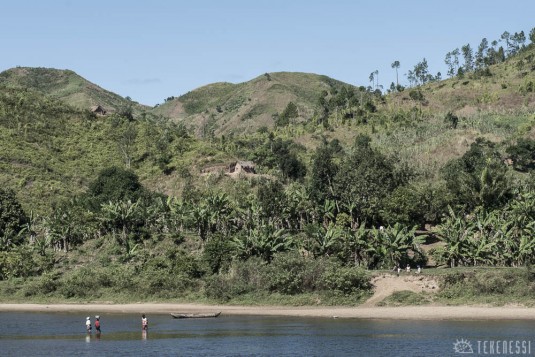 n482/corridor.forestier.trek.madagasar.160.jpg