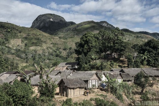 n484/corridor.forestier.trek.madagasar.182.jpg