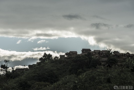 n486/corridor.forestier.trek.madagasar.212.jpg