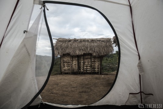 n487/corridor.forestier.trek.madagasar.214.jpg