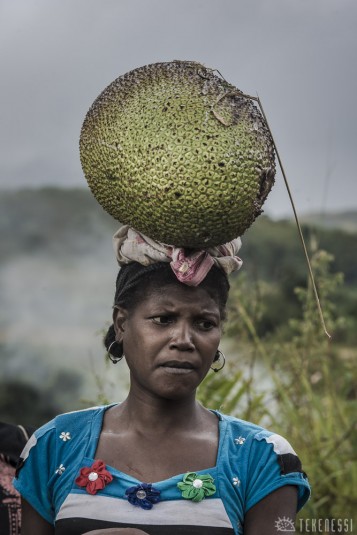 n487/corridor.forestier.trek.madagasar.219a.jpg