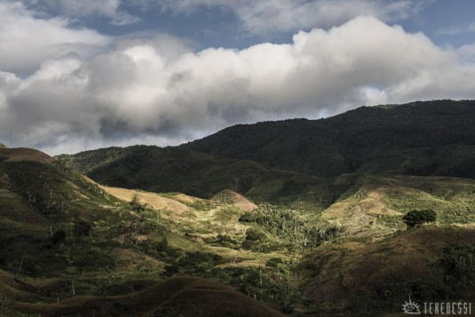 n488/corridor.forestier.trek.madagasar.221.jpg