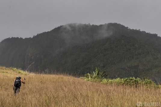 n488/corridor.forestier.trek.madagasar.224.jpg