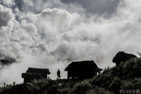 n488/corridor.forestier.trek.madagasar.225.jpg