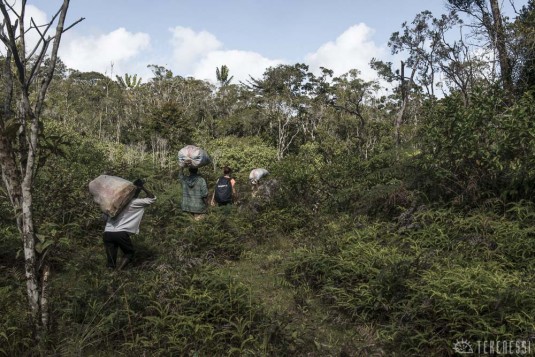 n488/corridor.forestier.trek.madagasar.227.jpg