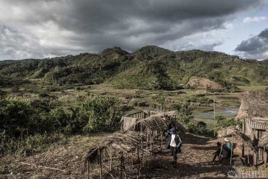 n488/corridor.forestier.trek.madagasar.232.jpg