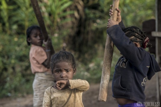 n489/corridor.forestier.trek.madagasar.234.jpg