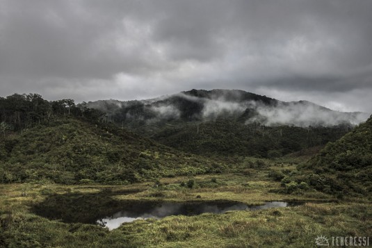 n489/corridor.forestier.trek.madagasar.235.jpg