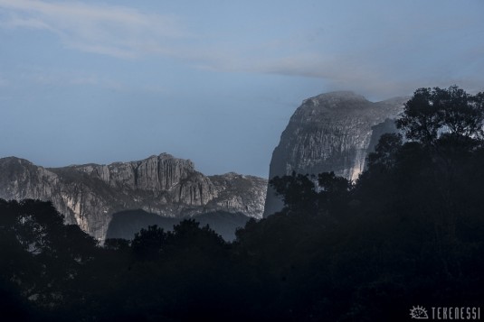 n490/corridor.forestier.trek.madagasar.243a.jpg