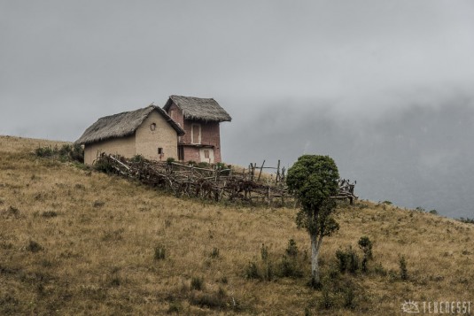 n490/corridor.forestier.trek.madagasar.247.jpg