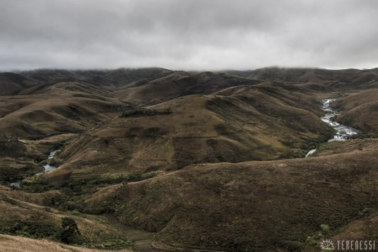 n490/corridor.forestier.trek.madagasar.252.jpg