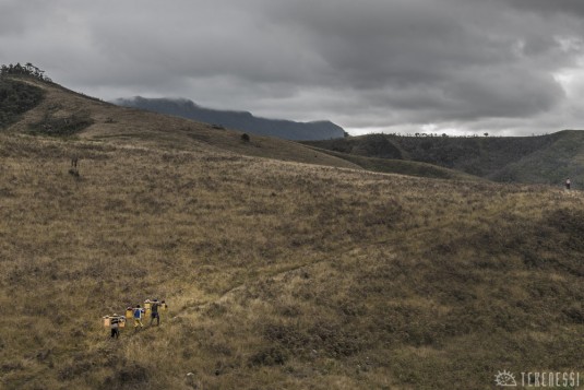 n490/corridor.forestier.trek.madagasar.253.jpg