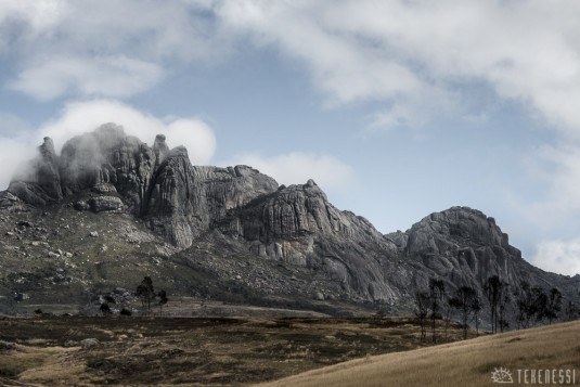 n491/corridor.forestier.trek.madagasar.255a.jpg