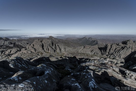 n492/corridor.forestier.trek.madagasar.263.jpg