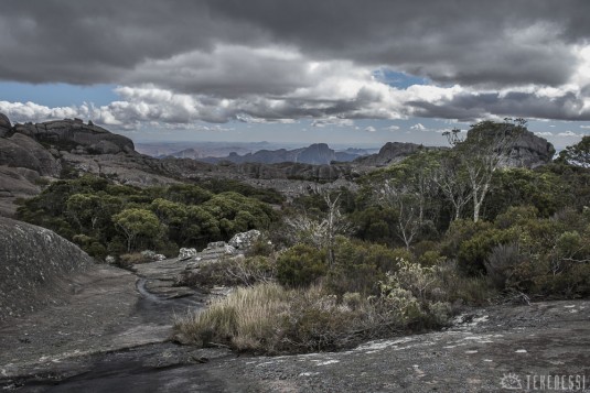 n492/corridor.forestier.trek.madagasar.264.jpg