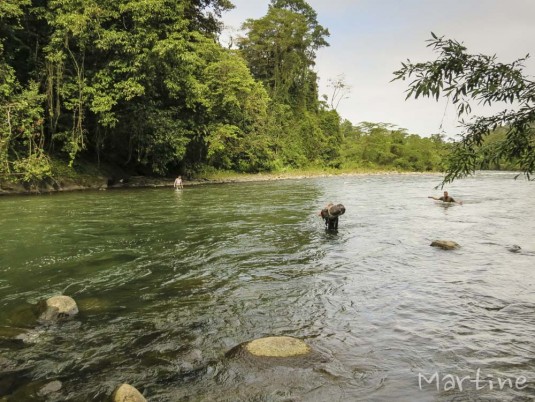 n512/costa.rica.trek.martine.57.jpg