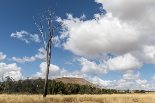 n517/trek.makay.madagascar.2015.2.jpg