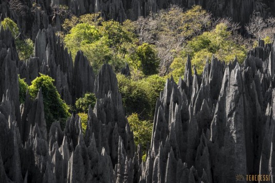 n527/tsingy.madagascar.bemaraha.3.jpg