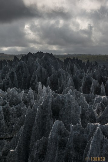 n533/parc.tsingy.trek.madagascar.bemaraha.part.2.1.jpg