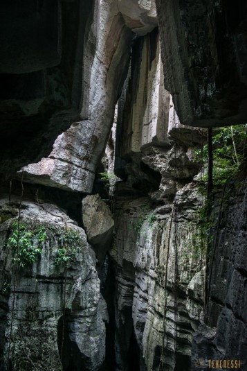 n533/parc.tsingy.trek.madagascar.bemaraha.part.2.6.jpg