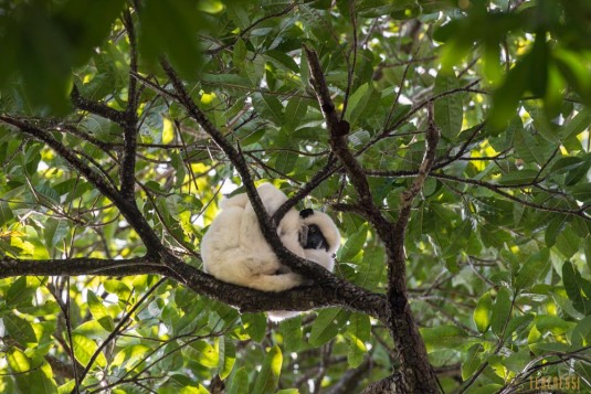 n534/parc.tsingy.trek.madagascar.bemaraha.part.3.8.jpg