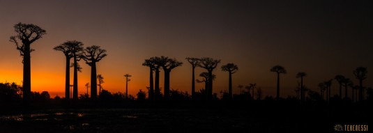 n539/tsingy.trek.madagascar.bemaraha.panoramique.10.jpg